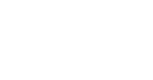 VISA Foundation